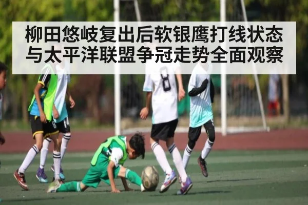柳田悠岐复出后软银鹰打线状态与太平洋联盟争冠走势全面观察（Kering）